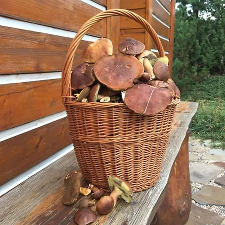 S Privatni Saunou